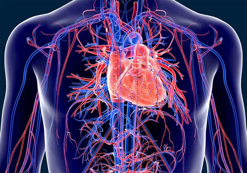 kardiologia inwazyjna