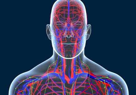 radiologia inwazyjna<br> i chirurgia naczyniowa